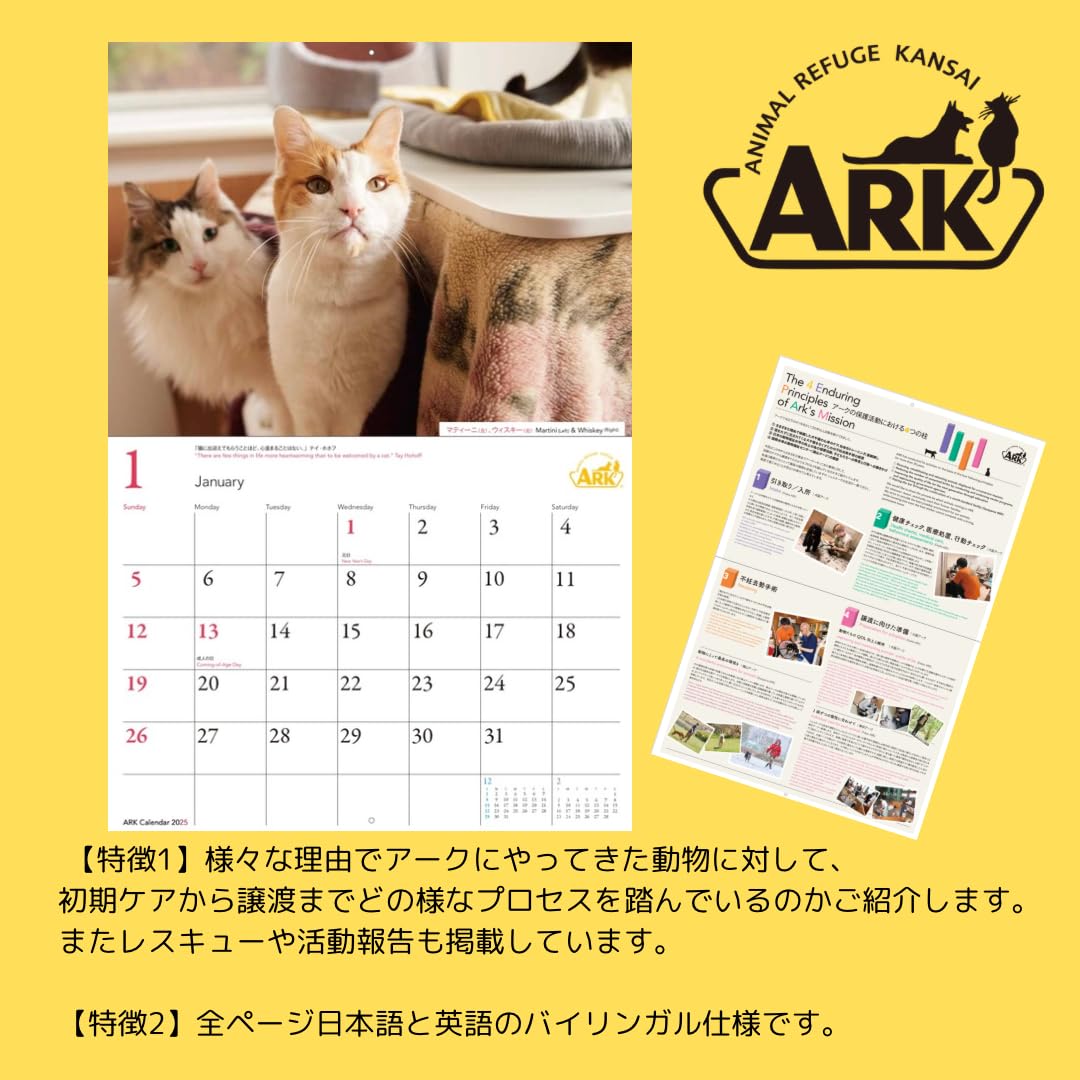 Amazon | 壁掛けカレンダー 保護犬 保護猫 チャリティグッズ